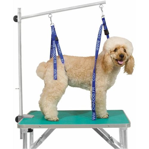 Chadog - Sangle de toilettage Tour de cou : 15mm