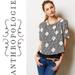 Anthropologie Tops | Anthropologie Meadow Rue Zane Sheer Layer Top | Color: Black/White | Size: Xs