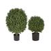 Single Ball Outdoor Boxwood Topiary - 34" - Frontgate