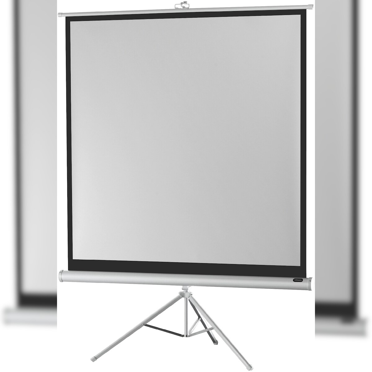 celexon Stativleinwand Economy 184 x 184 cm - White Edition Image