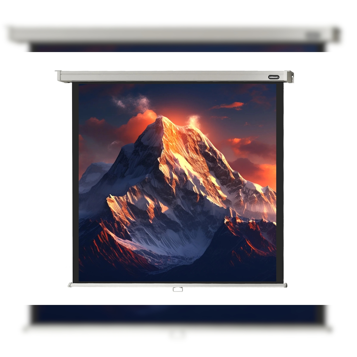 celexon Leinwand Rollo Professional 200 x 200 cm - 111` Image