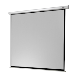 celexon Leinwand Motor Economy 300 x 300 cm Image