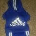 Adidas Dog | Adidas Dog Tracksuit | Color: Blue | Size: Small