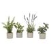 Ophelia & Co. 4 Piece Basil Artificial Flowering Plant in Pot Set Silk/Plastic/Stone in Gray | 12 H x 7 W x 12 D in | Wayfair