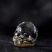 Nude Memento Mori Faceted Skull, Crystal in Yellow | 3.27 H x 4.13 W x 3.15 D in | Wayfair 25397-1086336