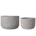 World Menagerie Dimonetta 2 - Piece Cement Pot Planter Set Concrete | 5 H x 8.25 W x 8.25 D in | Wayfair B660A3F09AB341EEAC259EB1D81D5B5A