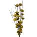 Primrue Ting Zinnia Stem Natural Fibers in White | 27 H x 8 W x 7 D in | Wayfair 4D3969731A5249BDA40C337E86620496