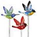Exhart Solar WindyWing Garden Stake Set of Cardinal, Hummingbird & Blue Bird w/ Colored LED Lights, 4x27" Resin/Plastic/Metal | Wayfair 54901-RS
