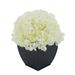 Winston Porter Hydrangea Floral Arrangements in Pot Fabric | 11 H x 10 W x 10 D in | Wayfair 1EADD3747A94472389C85BC655E3F2CC