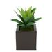 Latitude Run® 7" Artificial Succulent Plant in Pot Plastic/Metal in Brown | 13 H x 9 W x 9 D in | Wayfair 4CABE189958B481D9694276FF0AD55A9