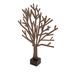 The Holiday Aisle® Batchtown Sherwood Wood in Brown | 14.5 H x 2 W x 11 D in | Wayfair C0CE0F0144B541A1B76CCD2442984D06