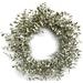 The Holiday Aisle® Eva Mini Eucalyptus 24" Polyvinyl Chloride Wreath Traditional Faux in Green/White | 24 H x 24 W x 5 D in | Wayfair