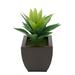 Latitude Run® 7" Artificial Succulent Plant in Pot Plastic/Metal in Brown | 13 H x 9 W x 9 D in | Wayfair 24371197F1CA4178BCEE479E9C6986B4