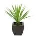 Ivy Bronx 12" Artificial Yucca Succulent in Pot Metal in Brown | 18 H x 12 W x 12 D in | Wayfair 0DA44E802B624E45A21236B1F18C2D42