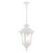 Livex Lighting Oxford 20 Inch Tall 3 Light Outdoor Hanging Lantern - 7858-13