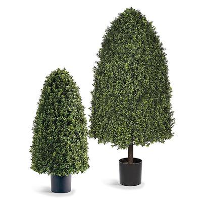 Rounded Cone Outdoor Boxwood Topiary - 56" - Frontgate