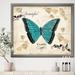 East Urban Home Farmhouse Butterfly - Picture Frame Print on Canvas in Blue | 16 H x 16 W x 1 D in | Wayfair 0D2ED6430D1A42D6AE9C05EE300825D0