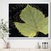 East Urban Home Handpainted Leaf on Black - Picture Frame Print on Canvas in Green | 16 H x 16 W x 1 D in | Wayfair