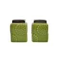 Drew DeRose Designs Salt & Pepper Shaker Set Ceramic in Green | 3 H x 2 W in | Wayfair 39605G