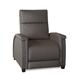 Southern Motion Venus 35" Wide Recliner | 44 H x 35 W x 42 D in | Wayfair 6080P 970-14