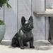 Arlmont & Co. Ohara Outdoor French Bulldog Garden Statue Stone in Black | 17 H x 9.5 W x 16 D in | Wayfair DAA43CE487524635B135B5FC9D0D4A91