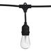 Set of 2 LED String Light Bulb Replacement Bulbs 4 - Ballard Designs - Ballard Designs