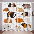 Guinea Pig Drapes Cute Cavy Collection Window Curtain for Boys Girls Children Cartoon Pet Curtain Panels Room Decor Lovely Animal W66*L90 Curtains