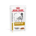 12x100g Urinary S/O in Gravy Royal Canin Veterinary Diet Wet Dog Food