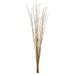 Vickerman 650318 - 36-40? Ivory Caba Spines - 8 oz. Bundle (H2CAB000) Dried and Preserved Branches
