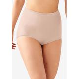 Plus Size Women's Skimp Skamp Brief Panty by Bali in Rosewood (Size 8)