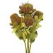 Vickerman 654125 - 14-16" Basil Coccinea 4 Stem Bunch (H1CBU100) Dried and Preserved Flowering Plants
