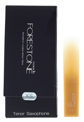 Forestone Tenor Saxophone XS