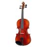 Roth & Junius RJVE Antiqued Violin Set 1/2