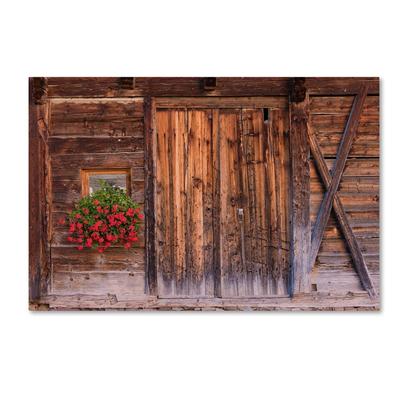 "30" x 47" Rustic Charm by Michael Blanchette Photography - Trademark Fine Art"