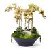 T&C Floral Company Orchids Floral Arrangement in Planter Faux Silk in Green | 26 H x 22 W x 22 D in | Wayfair F2034MG