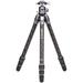 Benro Tortoise Columnless Carbon Fiber Two Series Tripod with GX30 Ball Head TTOR24CGX30