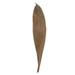 Vickerman 656082 - 6-12" Natural Palm Paddles 45-50/PK (H2PAM000-1) Dried and Preserved Plant Filler