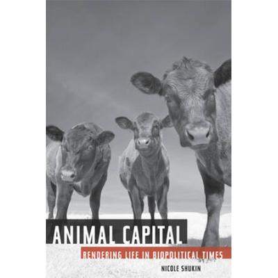 Animal Capital: Rendering Life In Biopolitical Tim...