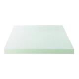 Alwyn Home Norton Infused 4" Memory Foam Mattress Topper Memory Foam in Green | 74 H x 60 W in | Wayfair 70F5C85BF29B4F67A17E00A4F770A3F6