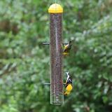 Perky Pet Finch Tube Bird Feeder Plastic in Yellow | 19 H x 3.55 W x 3.85 D in | Wayfair 399-6