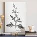 Red Barrel Studio® 'Botanical Imprint III' - Wrapped Canvas Painting Print Canvas, Solid Wood in White | 36 H x 24 W x 1 D in | Wayfair