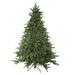 Northlight Seasonal Pre-Lit Minnesota Balsam Fir Artificial Christmas Tree - LED Lights in White | 6.5' | Wayfair 32915588