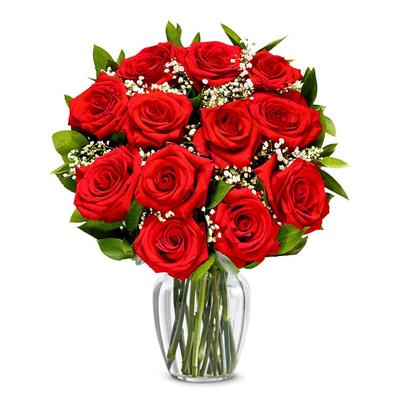 One Dozen Long Stemmed Red Roses