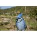 Hi-Line Gift Ltd. Hanging Jay on a Branch in Blue | 5.91 H x 2.09 W x 4.33 D in | Wayfair 87673-C