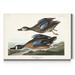 Gracie Oaks 'Pl 313 Blue-Winged Teal' - Wrapped Canvas Print Metal in Black/Brown/Gray | 48 H x 32 W x 1 D in | Wayfair
