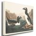 Gracie Oaks 'Pl 341 Great Auk' - Wrapped Canvas Print Canvas, Solid Wood in Black/Blue/Brown | 12 H x 8 W x 1 D in | Wayfair