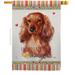 Breeze Decor Bulldog Happiness - Impressions Decorative 2-Sided Polyester 40 x 28 in. House Flag in Red/Gray/Brown | 40 H x 28 W in | Wayfair