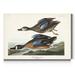 Gracie Oaks 'Pl 313 Blue-Winged Teal' - Wrapped Canvas Print Canvas, Solid Wood in Black/Brown/Gray | 12 H x 8 W x 1 D in | Wayfair