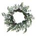 The Holiday Aisle® Christmas Sparkling 22" Plastic Wreath in White | 22 H x 22 W x 4 D in | Wayfair 55F76D0D84C34FD4BC6BBC941CAB77B3