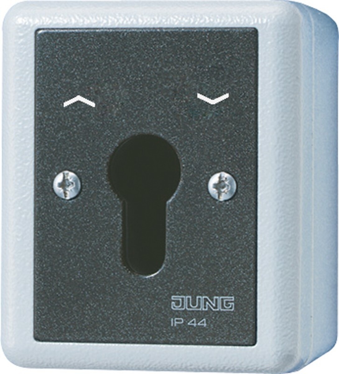 Jung Schlüsselschalter 804.28 G 804.28G Image
